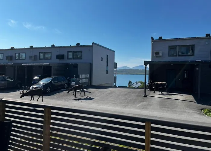 Modern With Carport Near And Airport 아파트 *